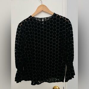 Zara sheer velvety blouse